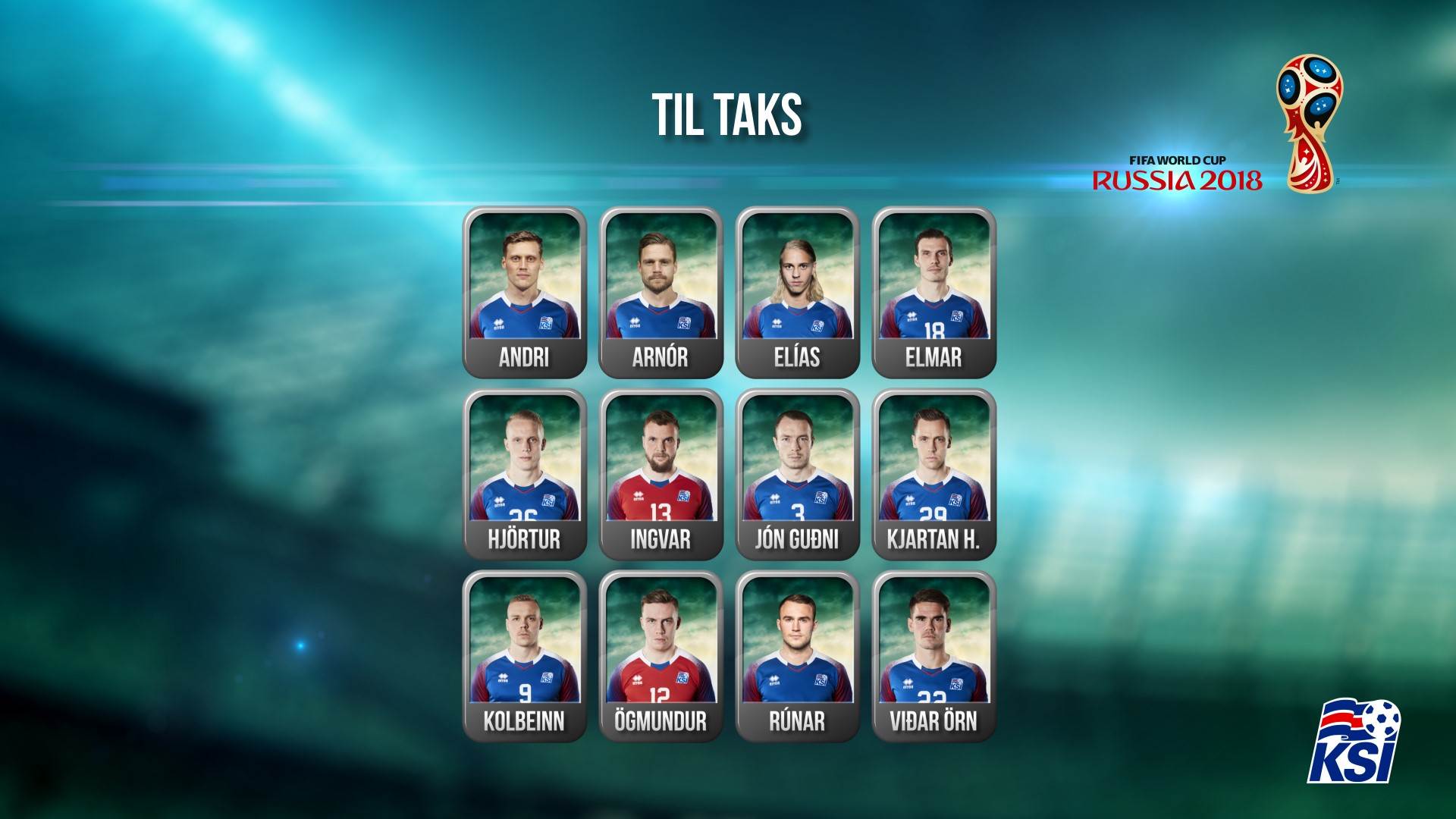 世界杯冰岛23人大名单,冰岛世界杯名单