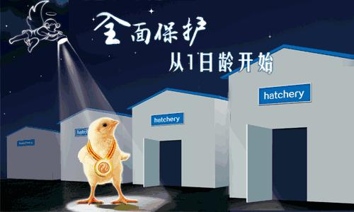 行业变革与进化,行业发展全局视频