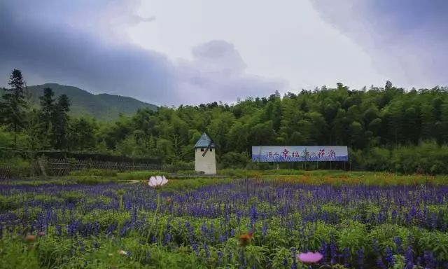 和最爱的妈妈相处10天攻略,有了这份寒假指南你还难吗