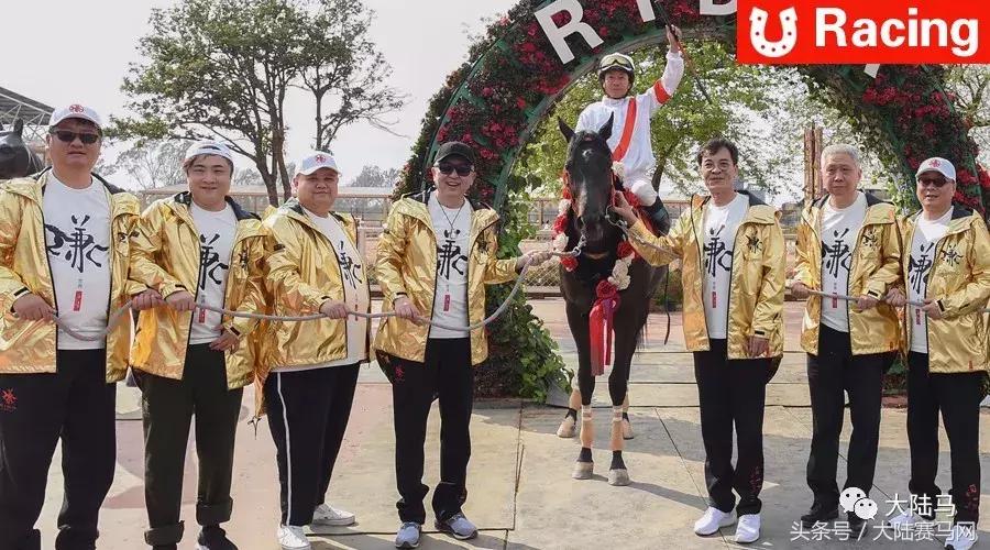 合买马匹、降低风险、共享收益已是全世界共识