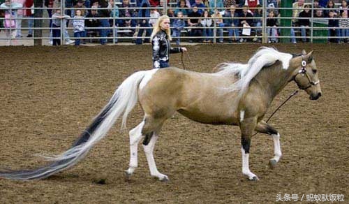 了解世界的巨大变化,见识一下世界开阔一下眼界