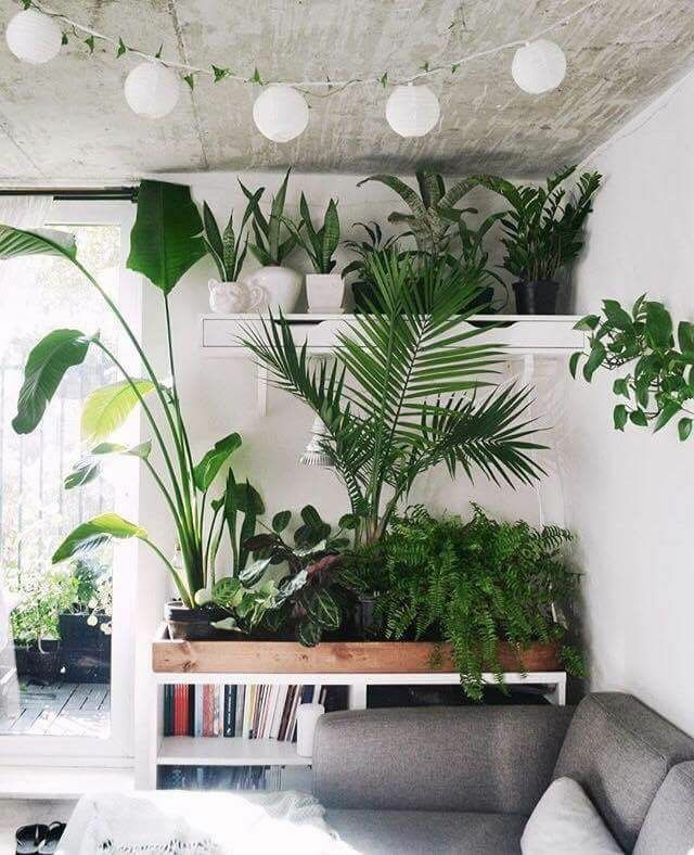 大门正对卫生间的门怎么解决,大门正对卫生间门怎么化解