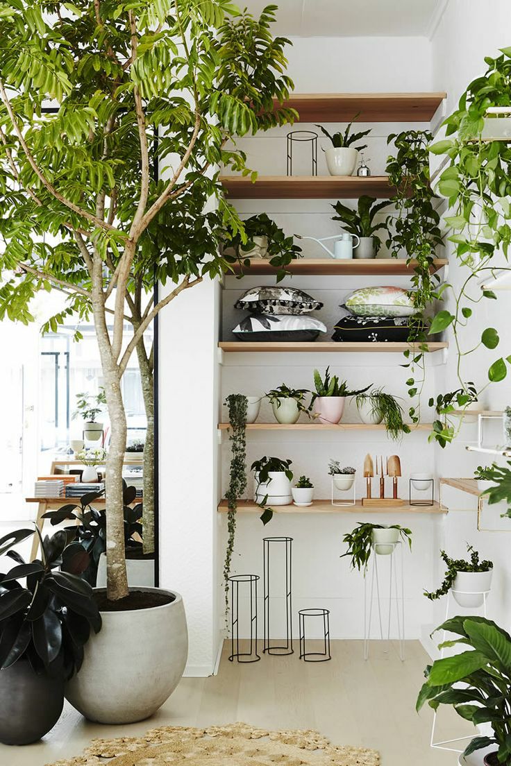 大门正对卫生间的门怎么解决,大门正对卫生间门怎么化解