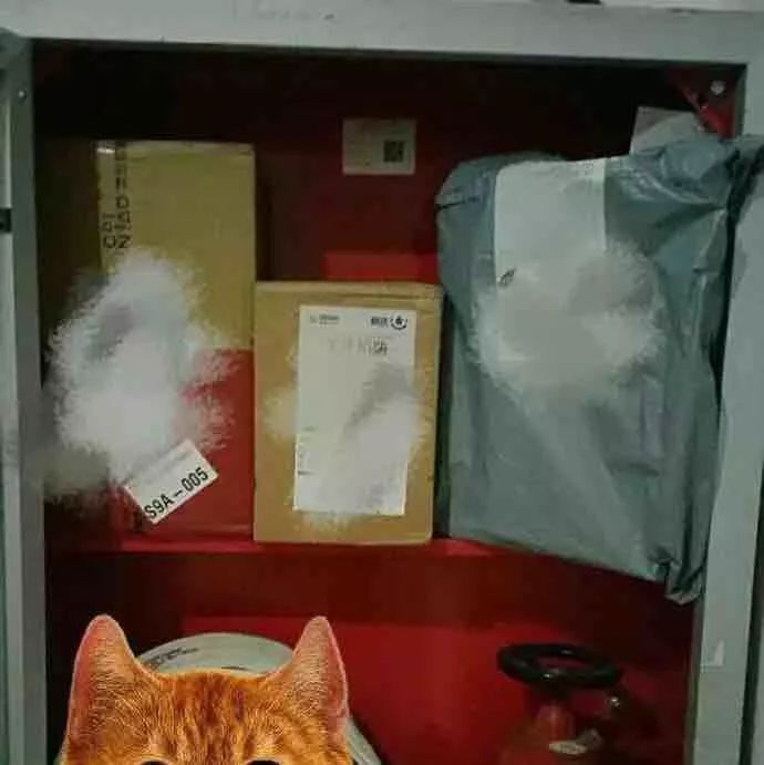 快递小哥到了家却不敢进吗,快递没时间接让快递员放在哪里