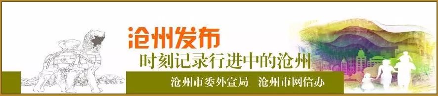 沧州纵横人才网最新招聘信息,沧州市近期招聘会