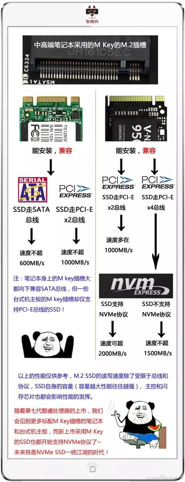 铅锤哥：固态硬盘的M.2、SATA、PCI-E、NVME究竟说的是什么？