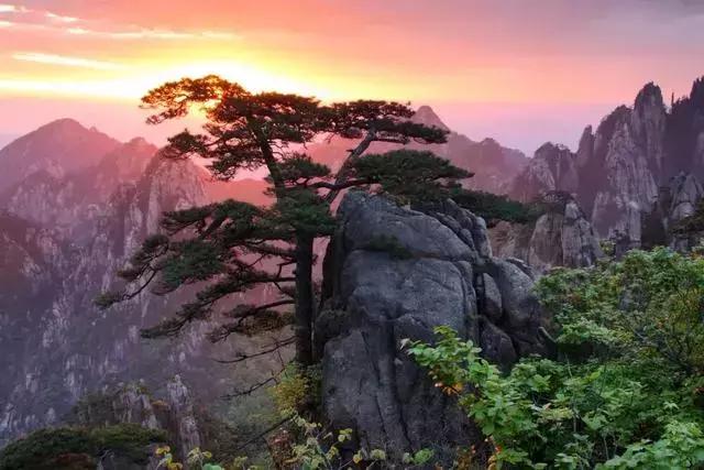 黄山个人简历,黄山的简历