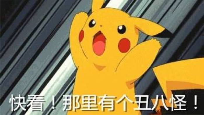 欧洲杯预测小智,所有人预测小智世界杯