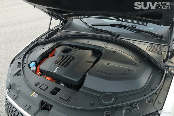 惊喜不断特价不断,惊喜不断喜讯连连