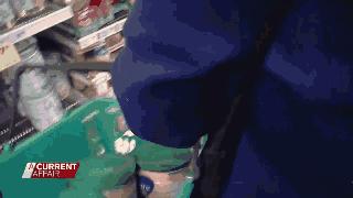 澳洲取消对华入境限制,澳洲发布禁令