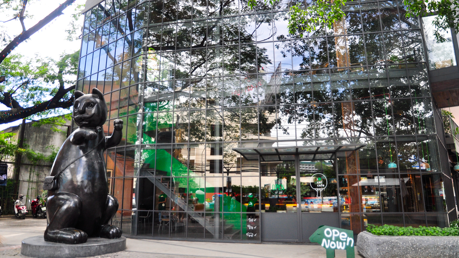 泰国旅游曼谷清迈攻略,泰国清迈的旅游攻略