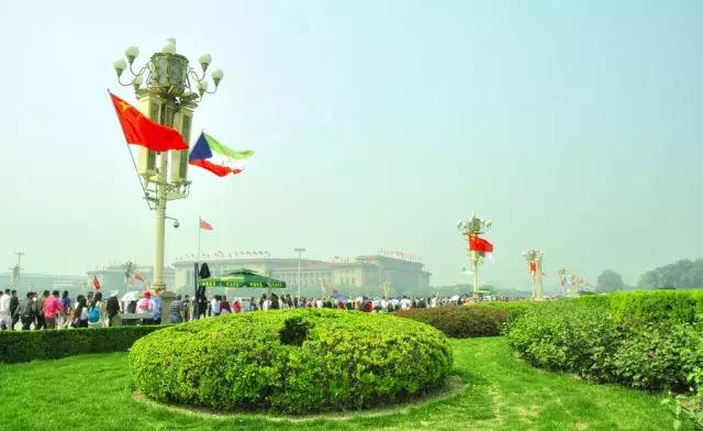 植树造林绿化方案,造林绿化相关标准