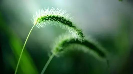 赵毅衡丨修辞学复兴的主要形式：符号修辞