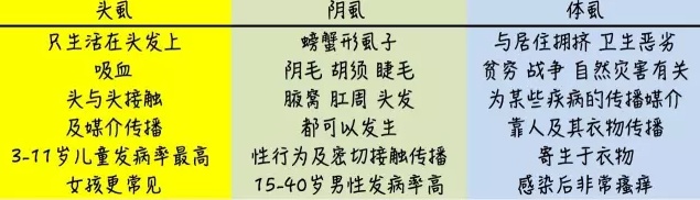 孩子头虱子怎么彻底去除,孩子头虱子怎么来的