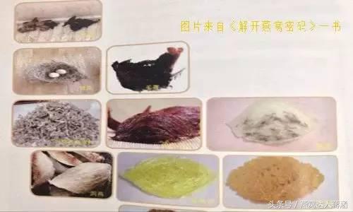 如何分辨真燕窝和假燕窝,燕窝造假小视频