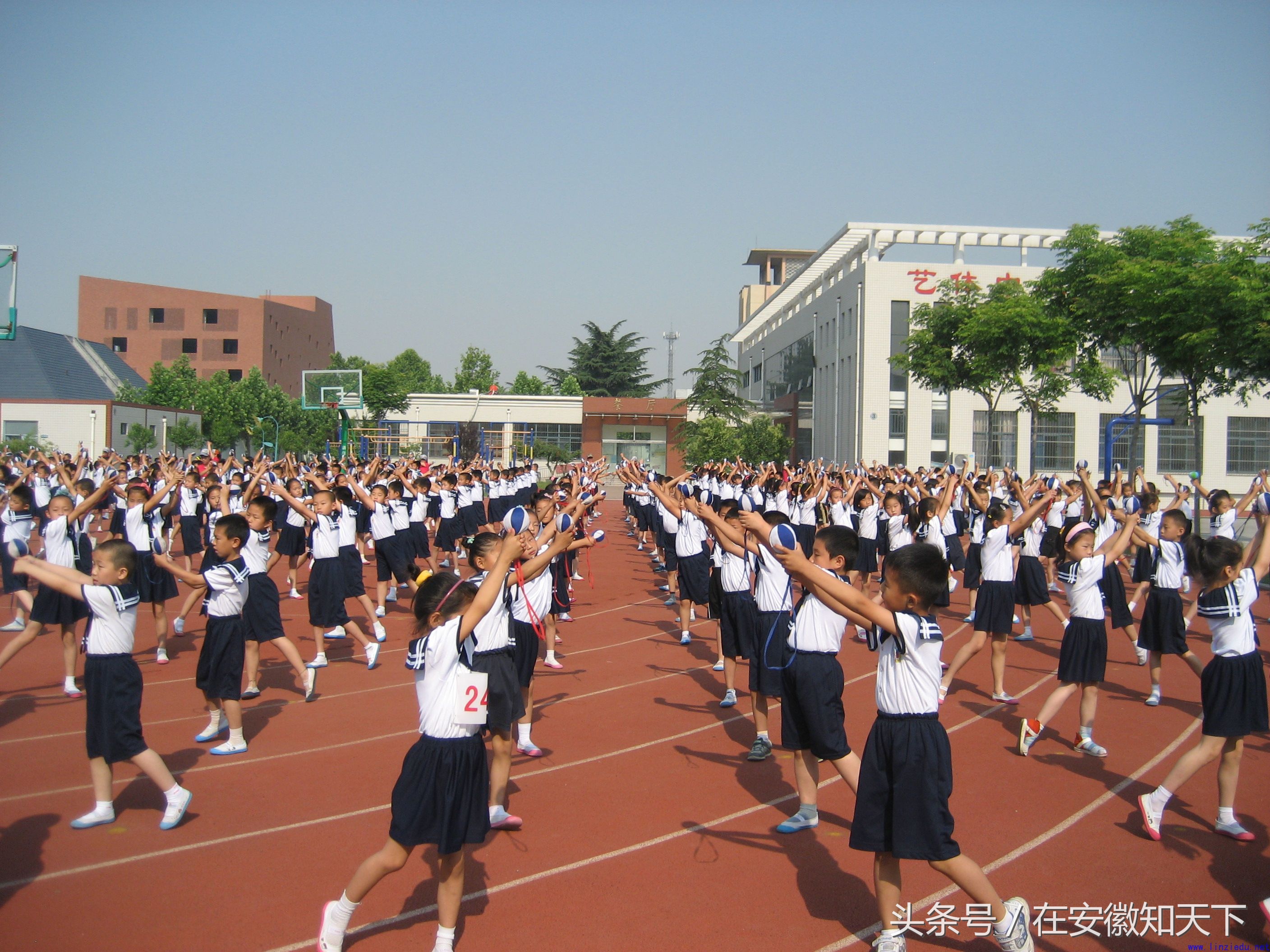 合肥2020年中小学招生政策,合肥市中小学招生工作实施方案