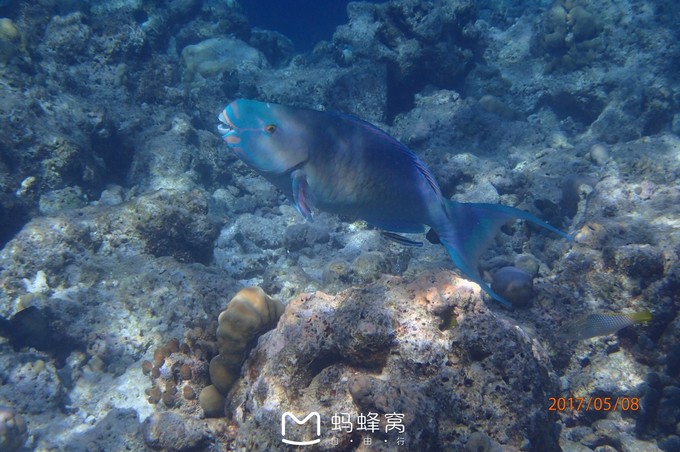 蜜月胜地之马尔代夫,马尔代夫芙拉瓦丽浪漫的梦幻之地