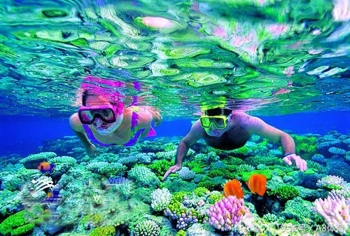 澳大利亚卡希尔世界杯,澳大利亚国脚卡希尔刷新纪录