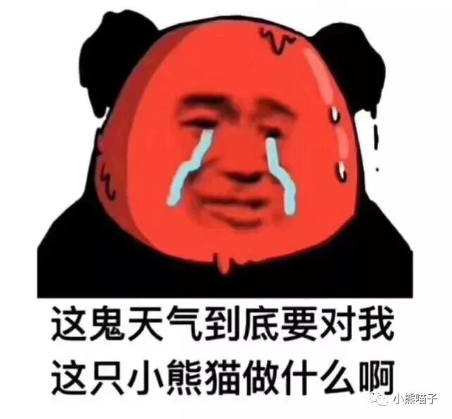 中村藤吉抹茶口感,中村藤吉抹茶