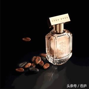 便宜咖啡味香水有哪些 (咖啡味的香水推荐)