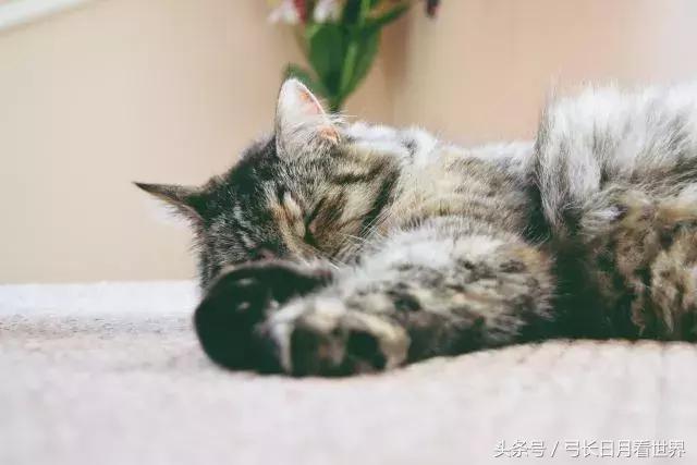 暂时关闭公众号,突然想把微信给卸载了