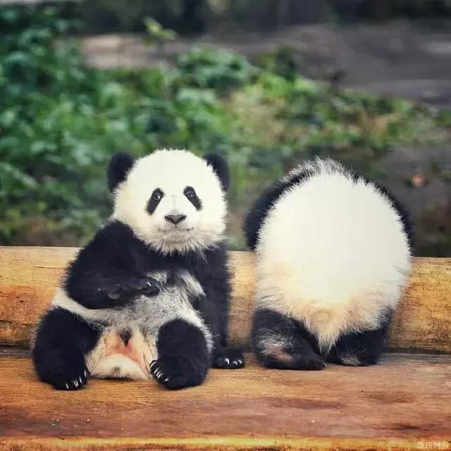 最可怕的代购骗局,揭露各种海外代购真相