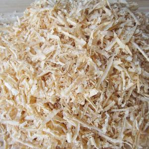 怎么给龙猫做尿布 (龙猫宝宝需要尿布吗)