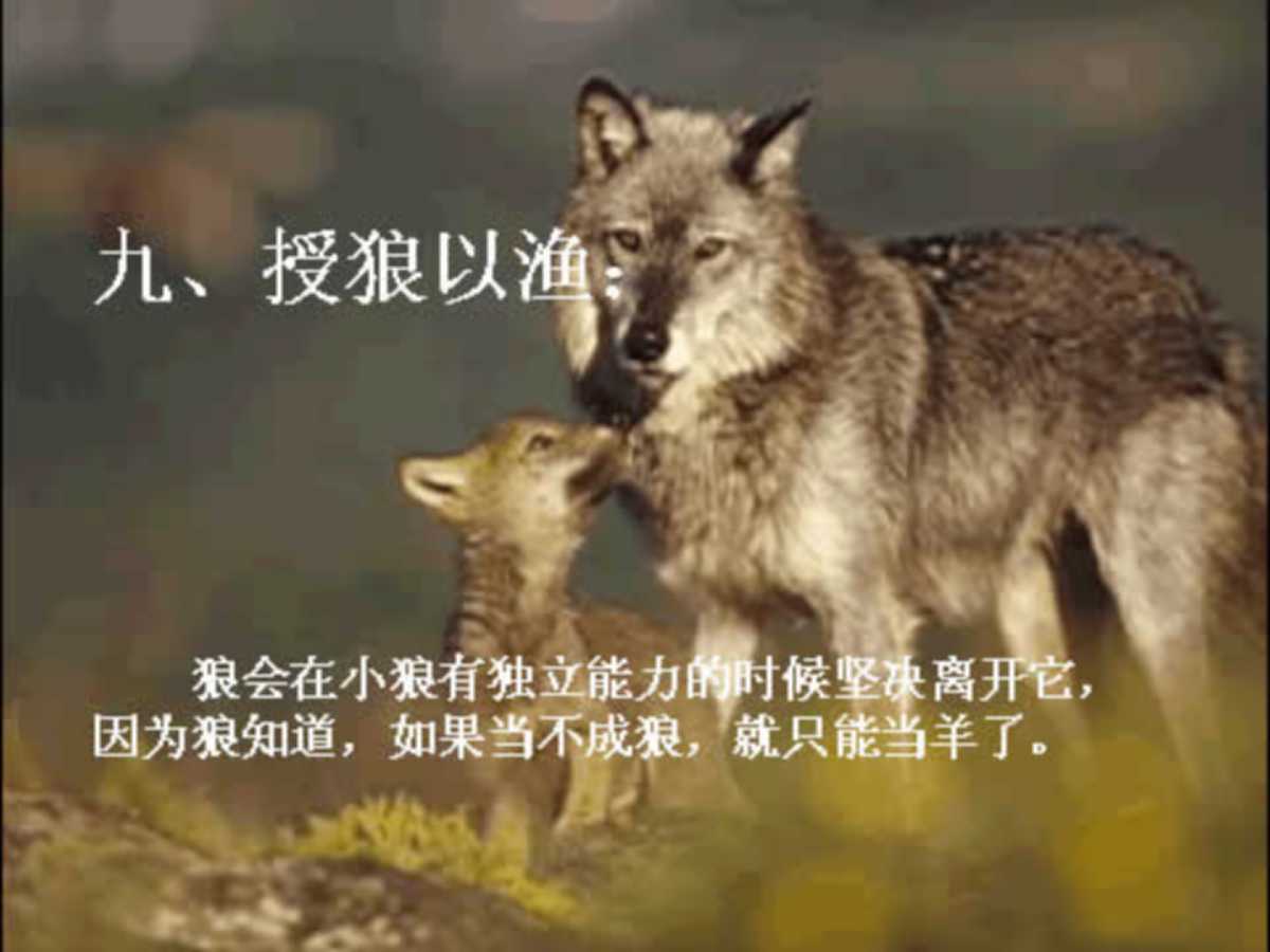 企业团队凝聚力培训ppt,企业团队精神培训ppt