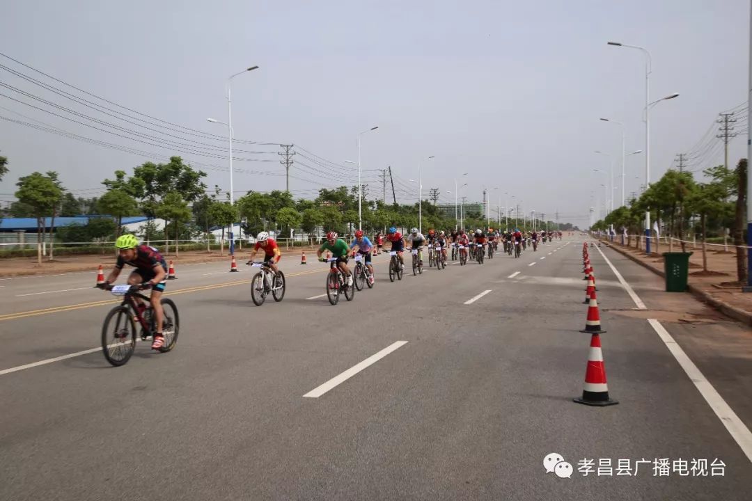 瀛熷畻鏁呴噷瀛濇槍,瀛濇槍姊﹂噷鑺卞洯