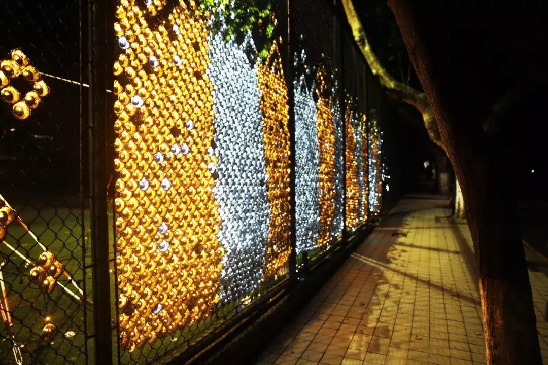 南艺你不知道的事,南艺的真实生活