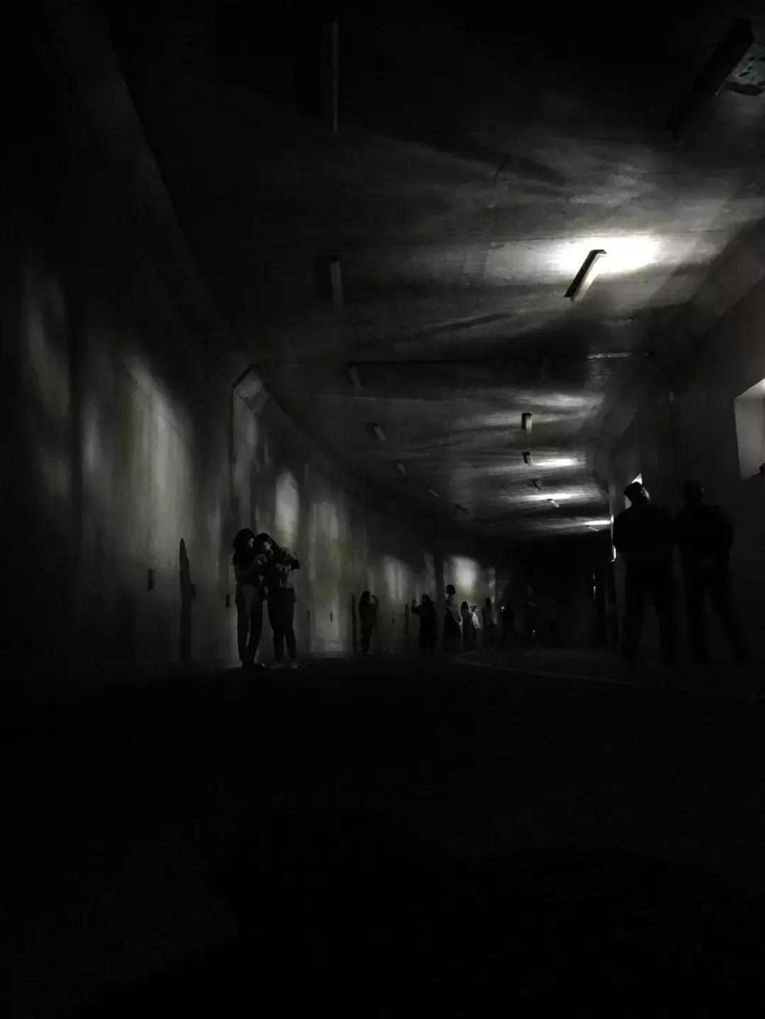 南艺你不知道的事,南艺的真实生活