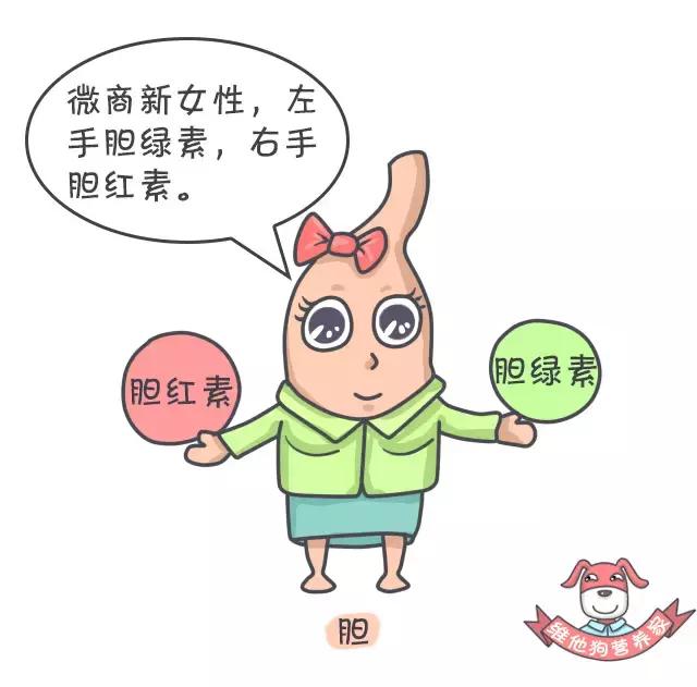这些肠道知识你知道吗,关于大便这些小知识早知道