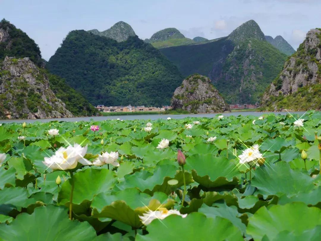 6月份去云南特价机票,昆明出发旅游特价机票