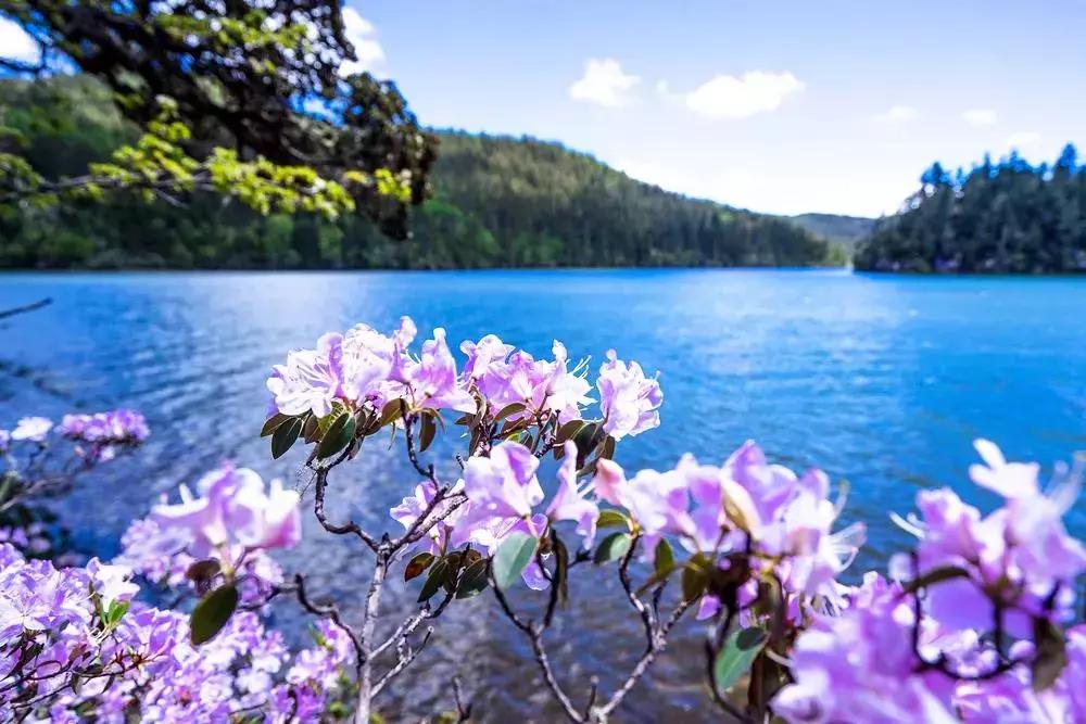 6月份去云南特价机票,昆明出发旅游特价机票