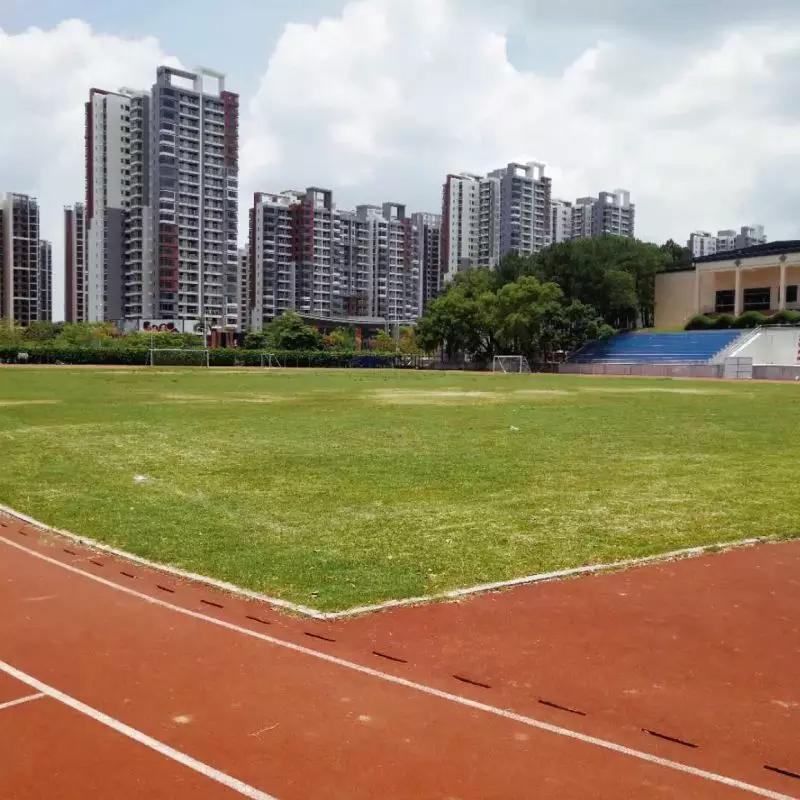 中山中小学校园足球,中山市校园足球
