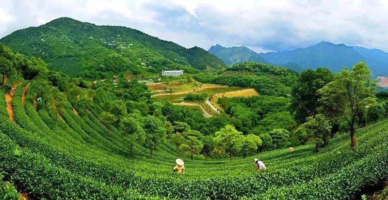 酒店六一儿童节,儿童节主题酒店