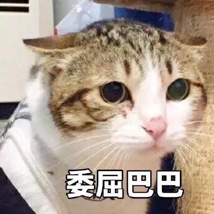 富人发正品，穷人发A货，大数据售假是个什么鬼？