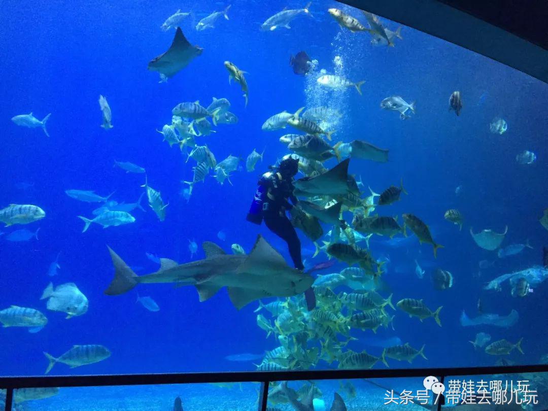 垦丁海洋生物馆夜宿,垦丁夜宿海洋馆攻略