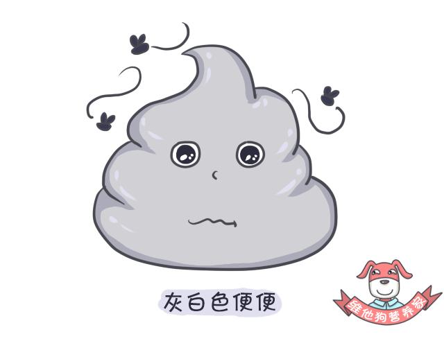 关于便便你不知道的知识,有关便便的知识