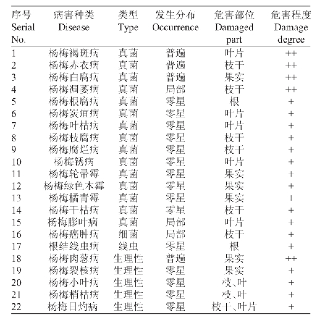 东魁杨梅树苗一年病虫害管理,杨梅树根病虫害防治方法