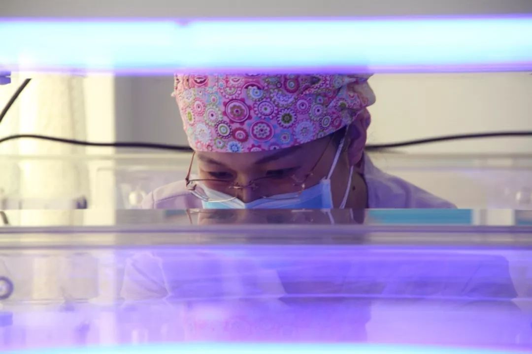 宝宝黄疸需要关注吗,新生儿黄疸为什么不建议喝水