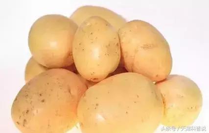 烧仙草放的是龟苓膏还是仙草,烧仙草就是龟苓膏么