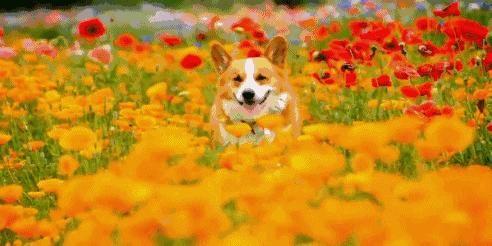 美女老板娘、茶馆、小清新，它在合肥