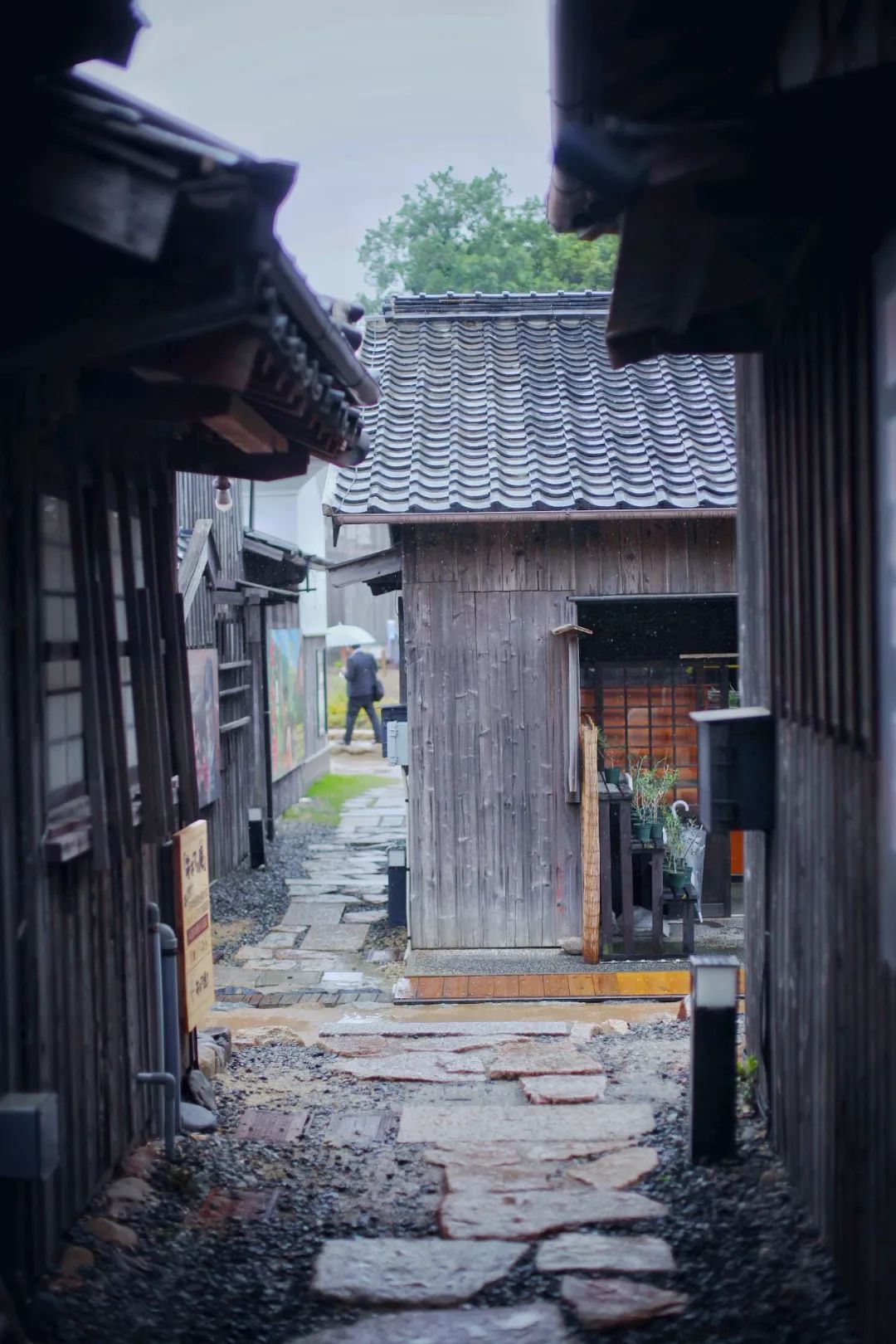 日本的哪个地方中国人不能去,日本什么地方很多中国人