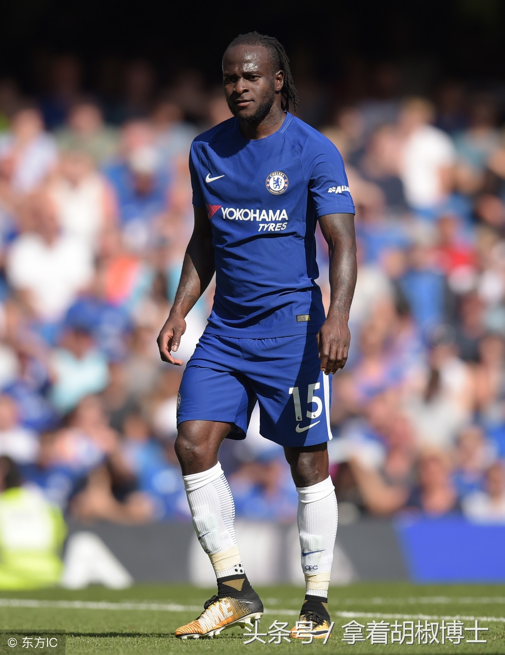 世界杯伪球迷必备知识宝典,世界杯伪球迷观赛视频