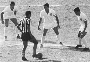 贝利是长短腿吗,长短腿是怎样的