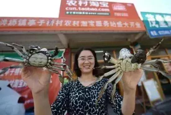 一个小县城前五月村淘线上成交额3954万元，列全省第三