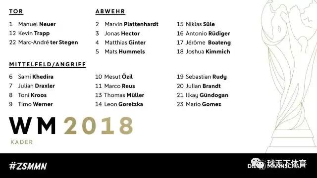 俄罗斯世界杯32强分布图,俄罗斯世界杯巴西名单