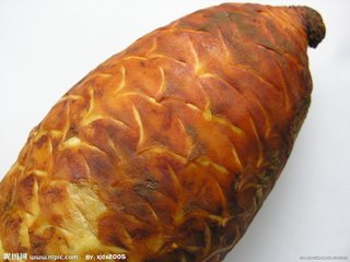肉苁蓉益精血是什么意思,肉苁蓉养五脏强阴益精气