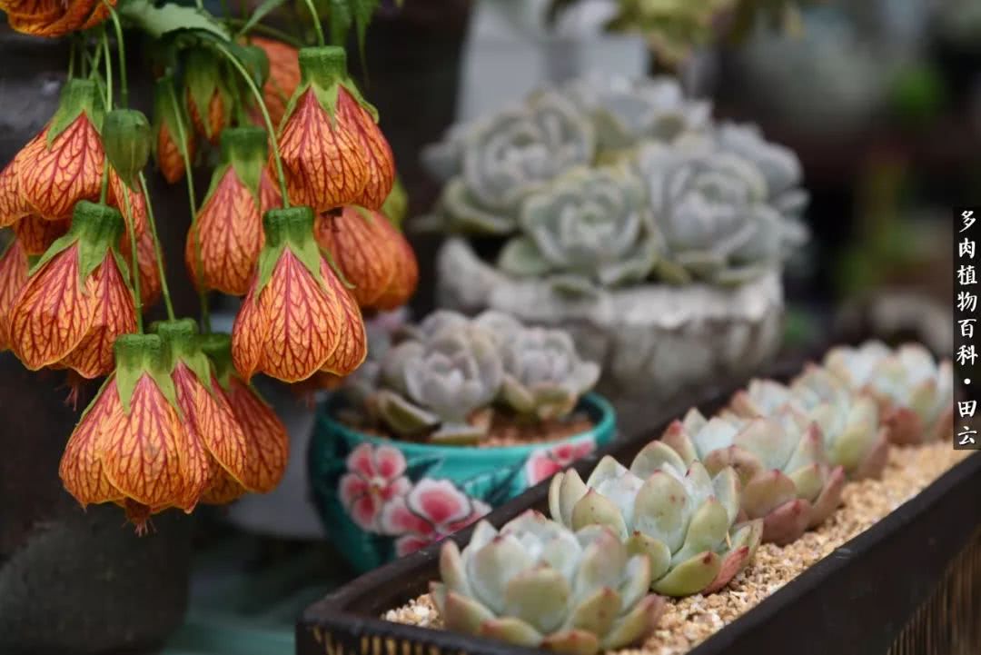 推开世界的门和自己和解,推开世界的门你所看到的风景